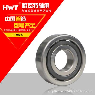 低温轴承液氮泵 LNG轴承7305A1 7307A5 7206A1