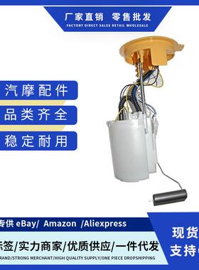 3C0919050G 3C0919050B 3C0919050AA燃油泵总成适用Passat 3C2