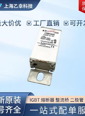 巴斯曼熔断器 170M1845 170M1846 170M1847 170M1848 170M1849