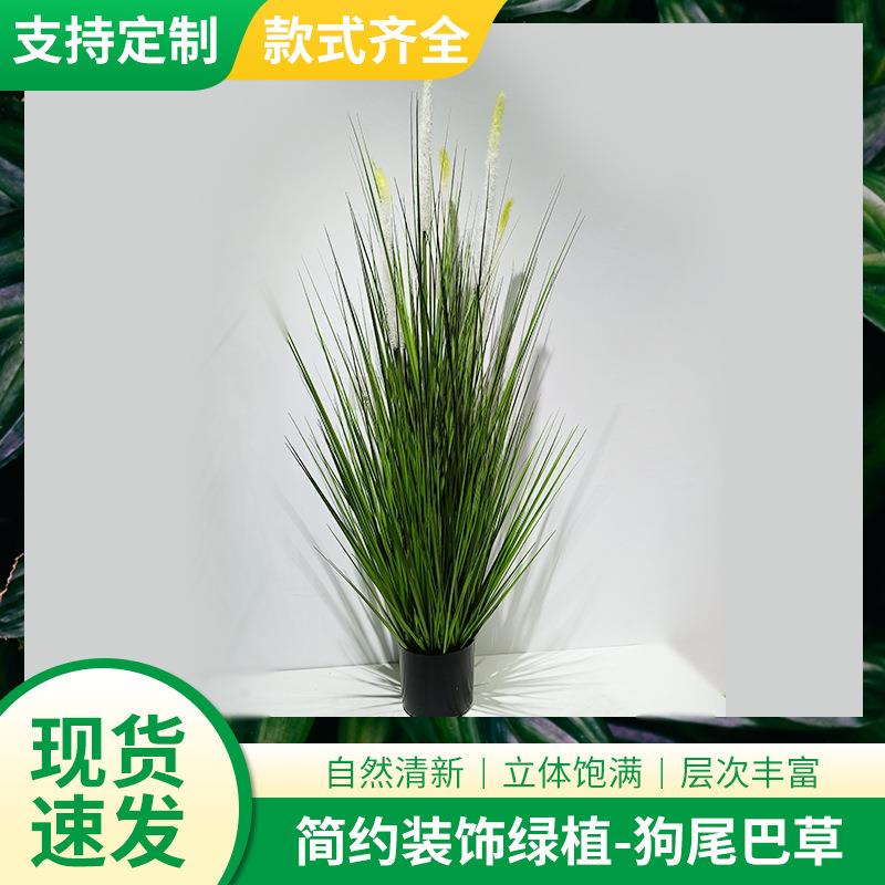 亚马逊真绿植狗尾巴草盆栽装饰品摆件 仿真植物洋葱草叶盆栽