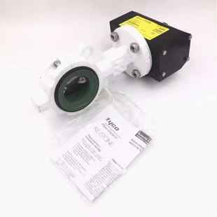 KEYSTONE凯斯通F89E气动执行器EMERSON气动执行机构双作用气缸