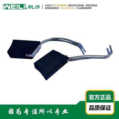 WEILI.稳力 供应GE直流电机用电刷 碳刷 T550 T563