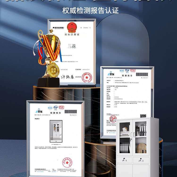 上海钢制办公室文件柜铁皮柜子档案柜资料柜财务凭证带锁储物书柜