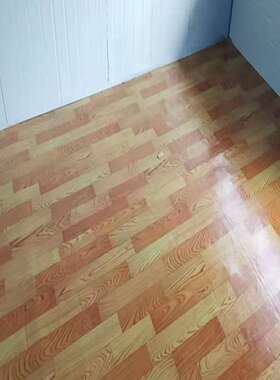 家用地毯卧室地板革客厅厂房临时租房地毯加厚防水地板胶PVC地垫