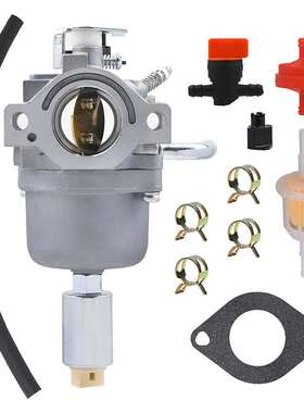 591731 594593 化油器796109 590400 796078 498811 794161 21HP