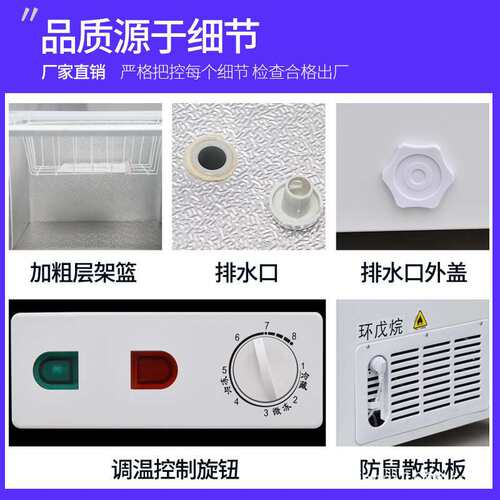 商用冰柜大容量冷藏柜冷冻柜雪糕鱼丸火锅海鲜双温速冻柜家用两用