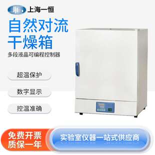 上海一恒 9031A数显定时控温准确镜面不锈钢 自然对流干燥箱DHG