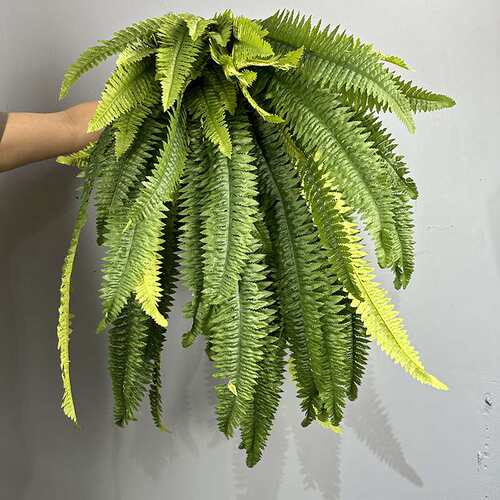 仿真蕨类植物37叶大波斯草壁挂波士顿蕨绿植排草叶蕨叶跨境园林