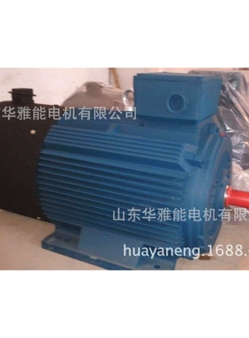 CZKX型空心轴外壳旋转磁粉制动YDEJ-355M1-2-220电机