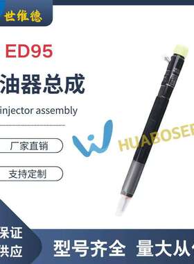 德尔福喷油器28599713长城ED95,28490086庆铃玉柴云内东风轻卡