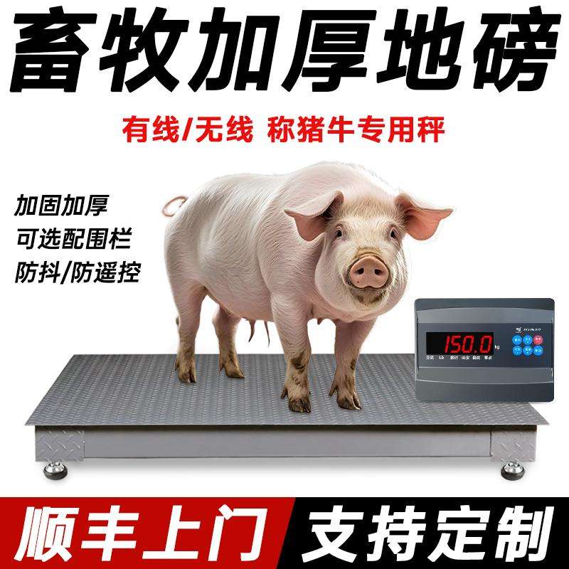 上海耀华加厚畜牧地磅电子秤称牛称猪3吨防遥控防抖高精度地磅秤