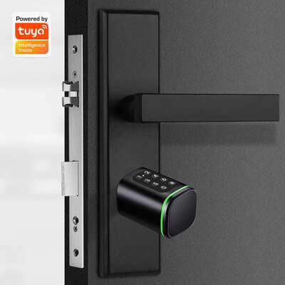 TTlcok密码智能锁芯smart cylinder远程临时密码tuya开锁跨境代发