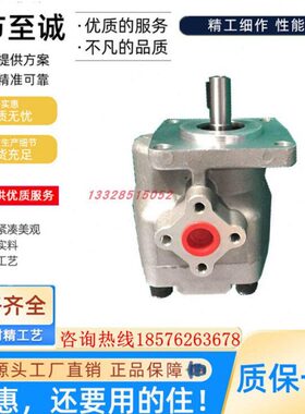 FRR-原装8 F新R3Y-F鸿119R F台湾 FRRHG5F4 F2A12 R FR齿轮泵6P