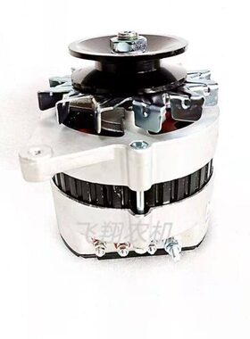 24441豹//拖拉机4/04550田雷沃41/502发电机44555/欧60福配件