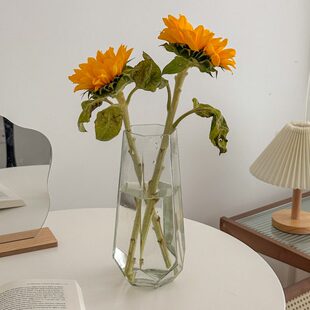玫瑰鲜花高级水养玻璃花瓶插花瓶插花感透明现代简约百合郁金香