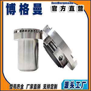 博格曼机械密封件aSHPV10-74耐腐蚀泵用机械密封凯士比离心泵适用