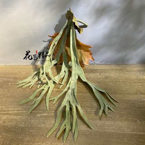仿真牛角蕨草空气草多肉蕨类植物热带雨林绿植生态田园单只/束绿