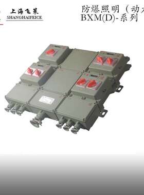 BXD防爆动力配电箱 电控箱电磁起动器壳体 上海飞策质量保障