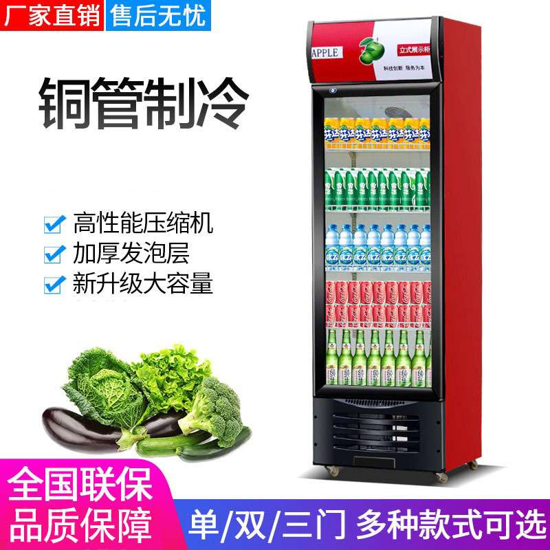 恩典商用立式冷藏展示柜双门啤酒柜商用单门冷饮柜饭店三门冷饮柜