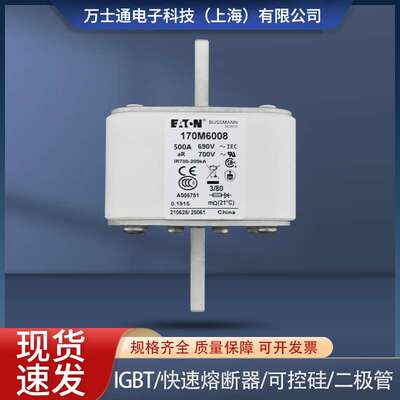 现货巴斯曼熔断器170M6008 170M6009170M6010 170M6058 170M6060