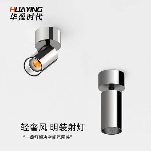 绿羚电镀银色明装射灯中古风360可调角度洗墙照画不锈钢led壁灯具