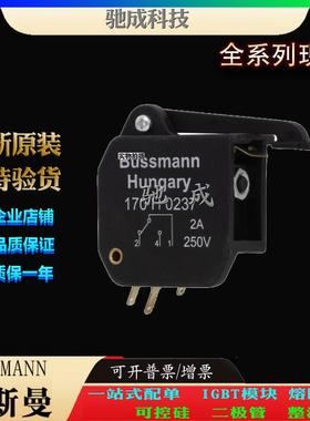 巴斯曼170H0237 170H0238 170H1007 厂家直供价格优惠 快速保险丝