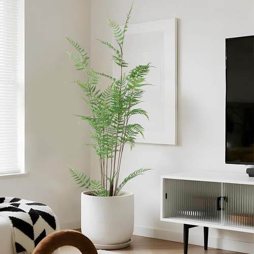 仿真绿植金丝蕨植物蕨树猴头蕨假绿植室内客厅装饰盆栽现货