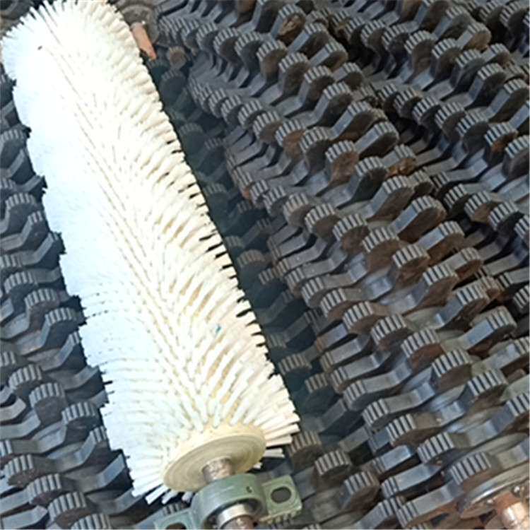 核桃脱壳机青核桃去皮脱壳机全橡胶毛刷2021家用新款核桃去皮机