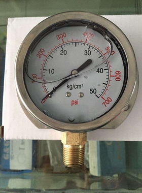 径向带边耐震压力表 表盘100MM 60MM 3/8螺纹  KG/PSI YN100T