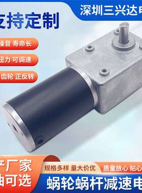 5882蜗轮蜗杆减速电机600JSX50ZY智能家居机器人设备微型直流马达