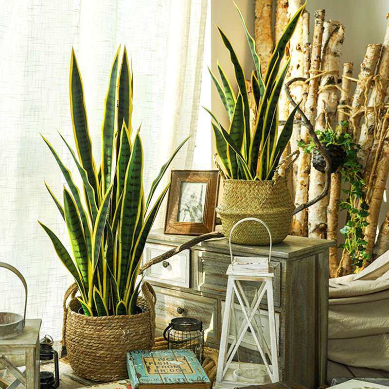 北欧风仿真植物虎皮兰盆栽室内客厅办公室落地盆景装饰假绿植摆件,玩具/童车/益智/积木/模型,遥控车升级件/零配件,淘宝优惠券,粉丝福利购,淘宝优惠卷