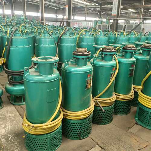 BQS矿用隔爆型排沙潜水电泵防爆潜污泵660v1140 BQS200-70-90/Nkw