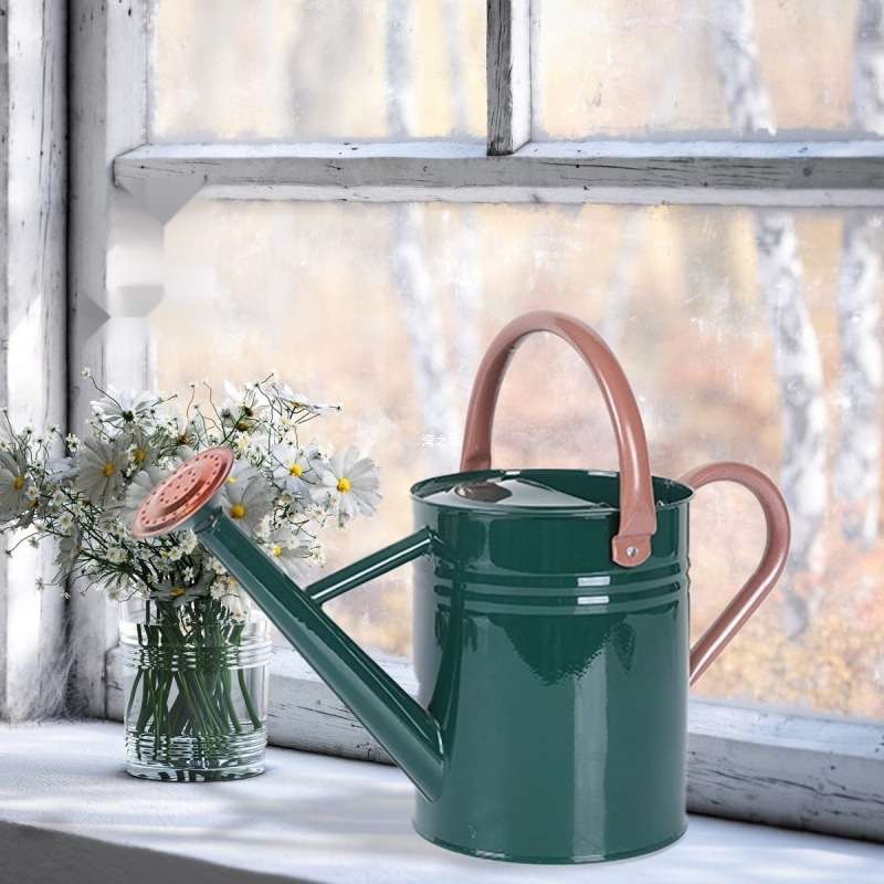 欧美高品质洒水壶浇花壶两用4L