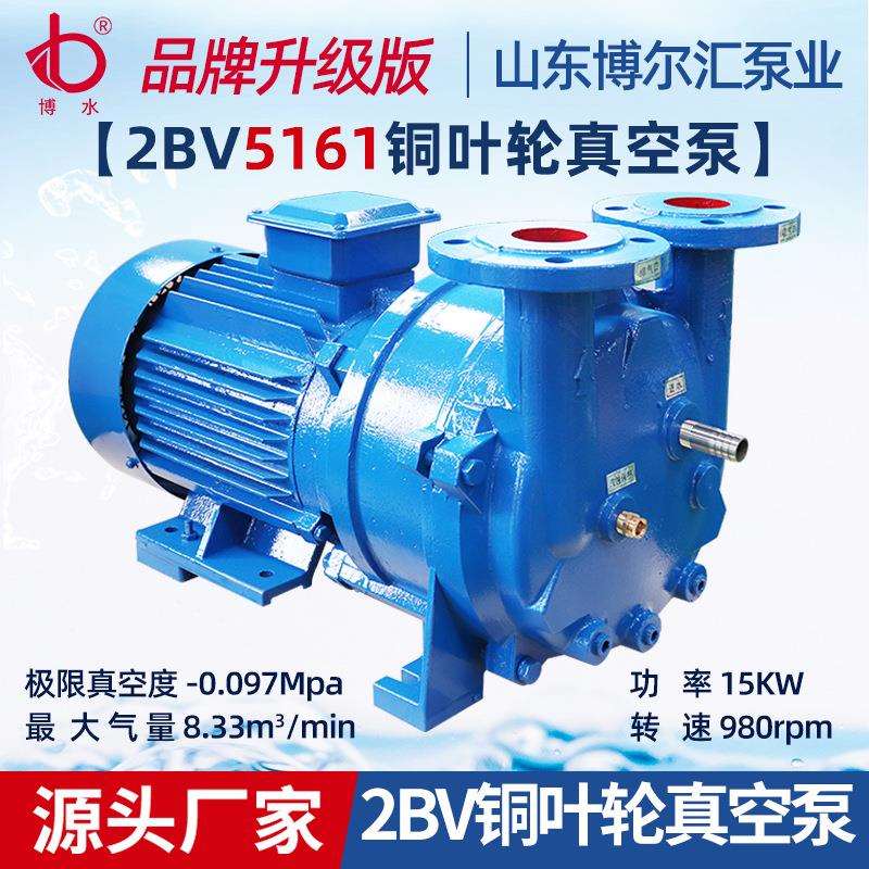现货2BV5161铜叶轮水环真空泵滤油机配套水循环泵15kw直联真空泵