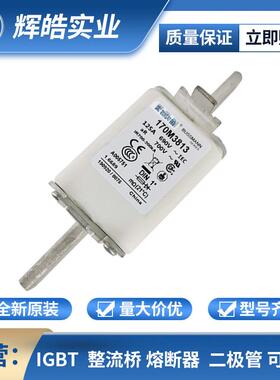 170M3813 14 15 16低压快速熔断器 压熔断器 电子元器件