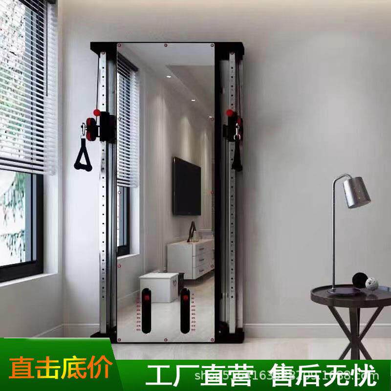 墙体镜面小飞鸟外贸贴墙小飞鸟综合训练器龙门架壁挂式墙体小飞鸟