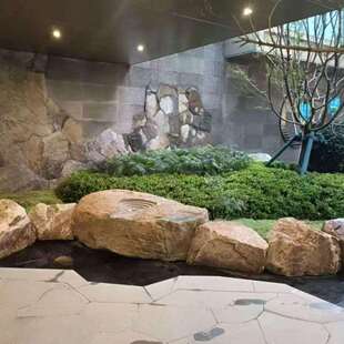 柏坡黄造景墙柏坡黄风景石柏坡黄景墙园林庭院摆件装饰柏坡凰石材