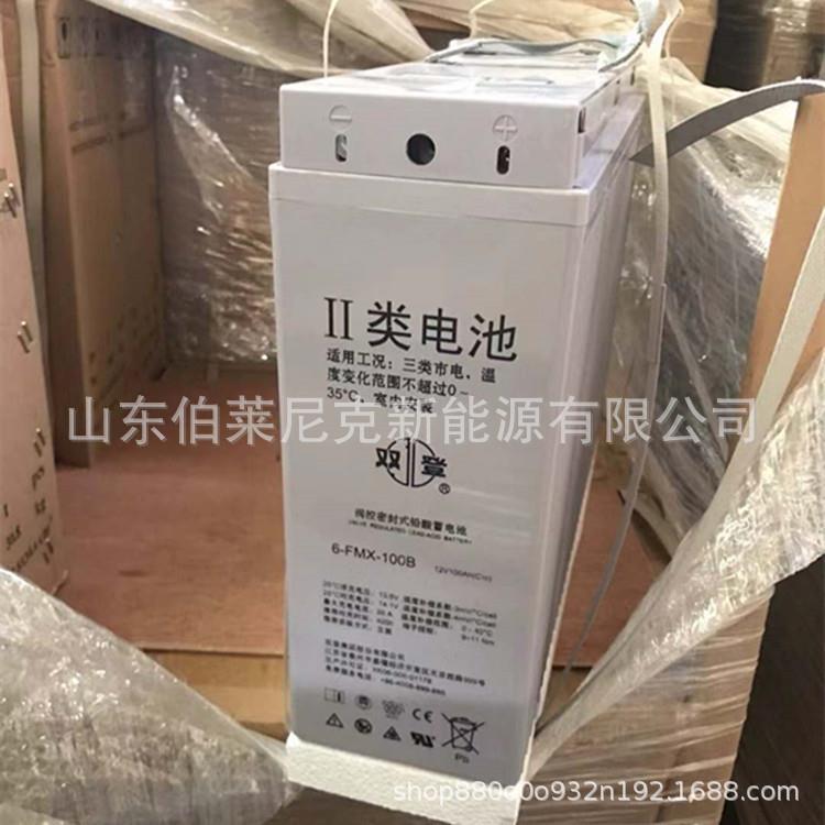 Shoto双登蓄电池6-FMX-100A通讯基站12V100AH船舶太阳能大容量