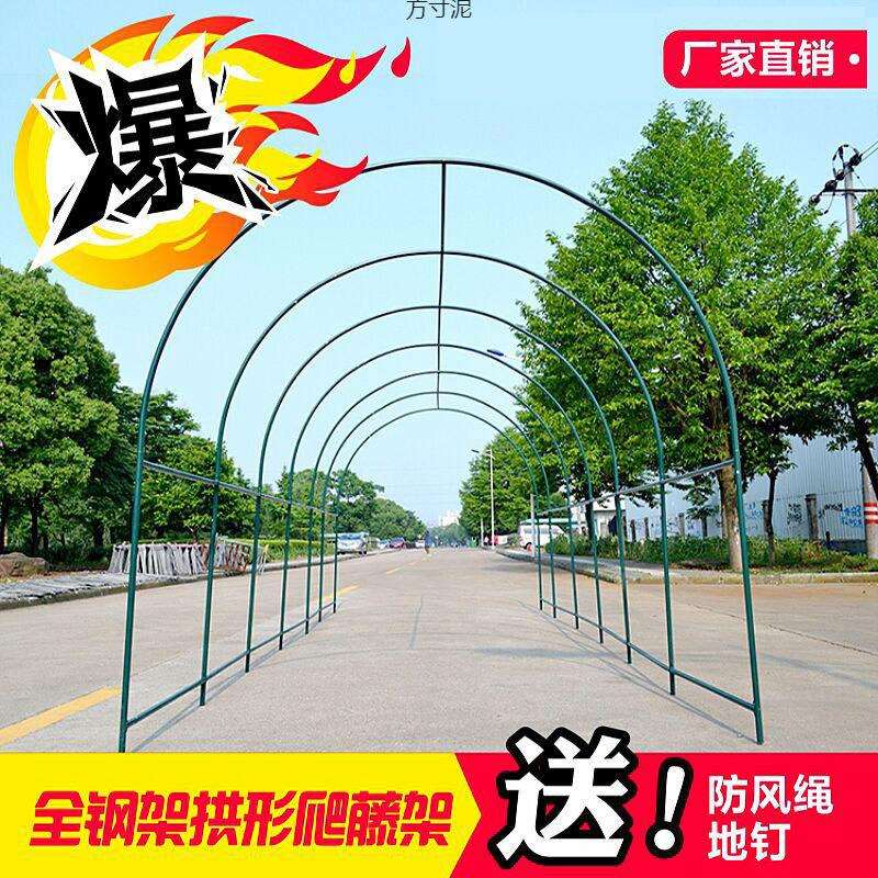 植物爬藤架暖房钢管花架葡萄架大棚骨架百香果支架庭院园艺攀爬架