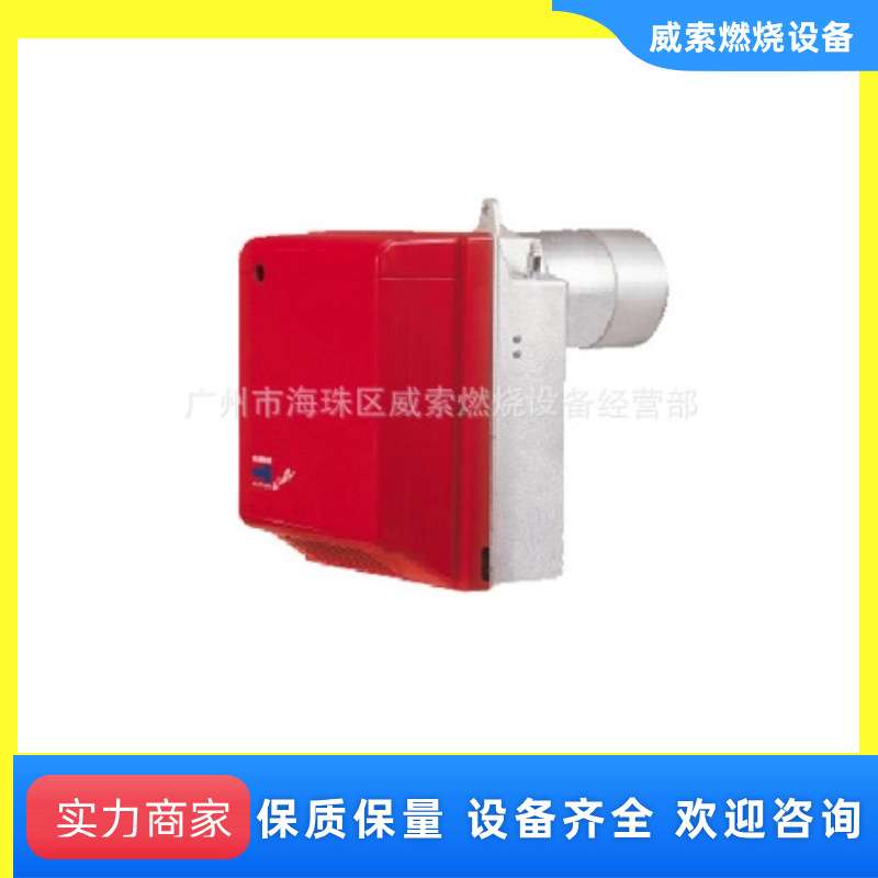 供应意大利 利雅路轻油燃烧器RG5S现货