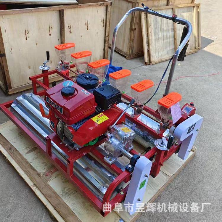 小型手推六行蔬菜播种机 自动点播无需间苗 农用蔬菜播种机厂家