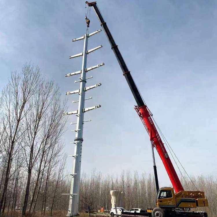 钢制电力塔35KV钢管杆  厂家   电力基础打桩   河北电力钢杆,鲜花速递/花卉仿真/绿植园艺,割草机/草坪机,淘宝优惠券,粉丝福利购,淘宝优惠卷