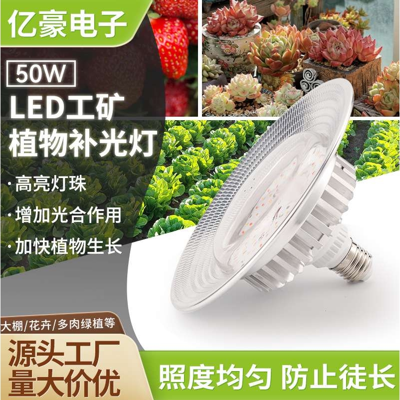 led全光谱工矿灯50W植物灯大棚温室生长灯种植火龙果多肉补光灯