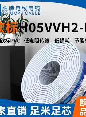 欧规H05VVH2-F两芯护套扁线胜牌工厂直销家装设备家用电器电源线