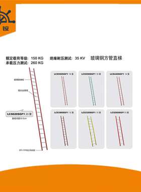 金锚LCS260SGF1方管直梯 玻璃钢方管直梯家用梯金锚LCS260SGF1否L