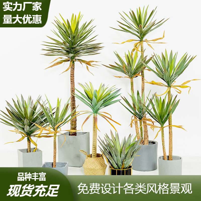 绿植荷兰铁假树盆栽大型客厅装饰假植物仿真树造景龙舌兰装饰树