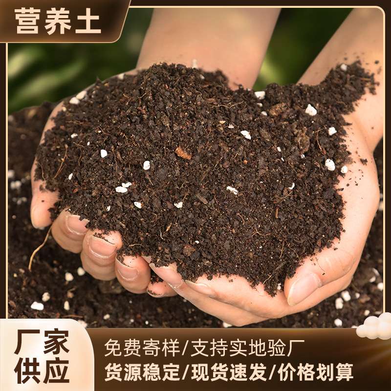 营养土通用养花种菜专用土多肉盆栽通用型园艺种植土壤 种菜土