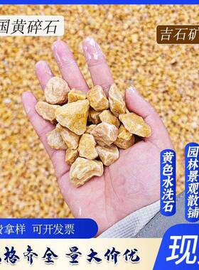 中国黄石子园林散铺造景黄色碎石子砾石水磨石黄色洗米石骨料