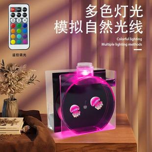广州樱桃水母缸带过滤造流七彩灯海月大西洋水母专用缸亚克力鱼缸