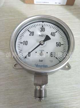 瑞士堡盟Baumer MEX5MEM5压力表